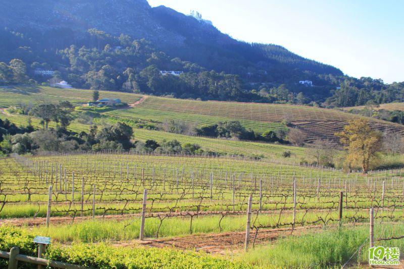 【南非深度游】--野生南非一头鲍~才100块?!-