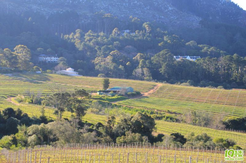 【南非深度游】--野生南非一头鲍~才100块?!-