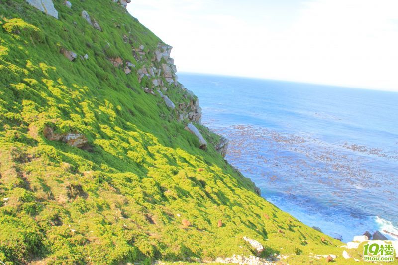 【南非深度游】--野生南非一头鲍~才100块?!-