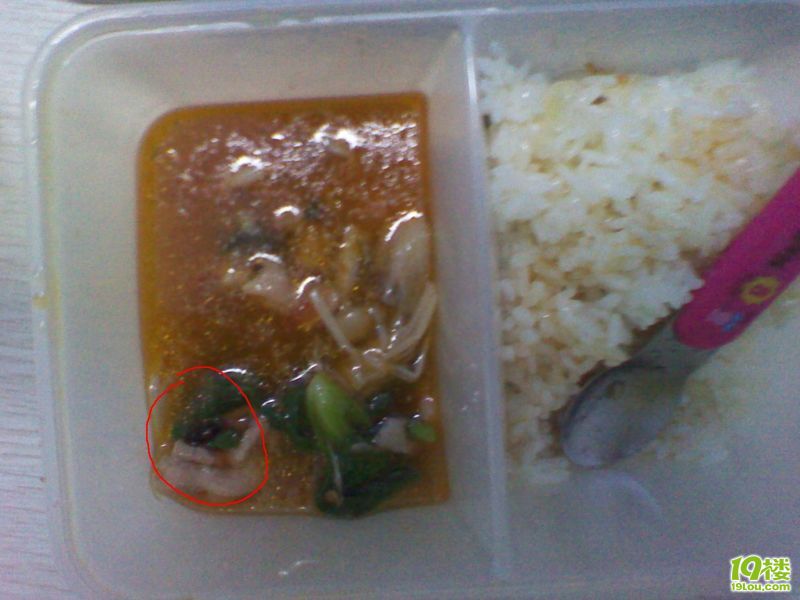 快乐厨房外卖吃到绿头苍蝇一枚-草根消息-杭州19楼