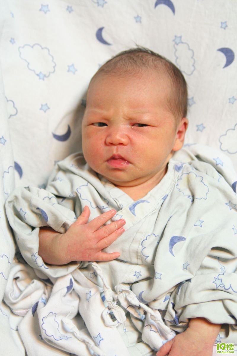 矮油!我家美女被观众评为表情妹了(不定时更新