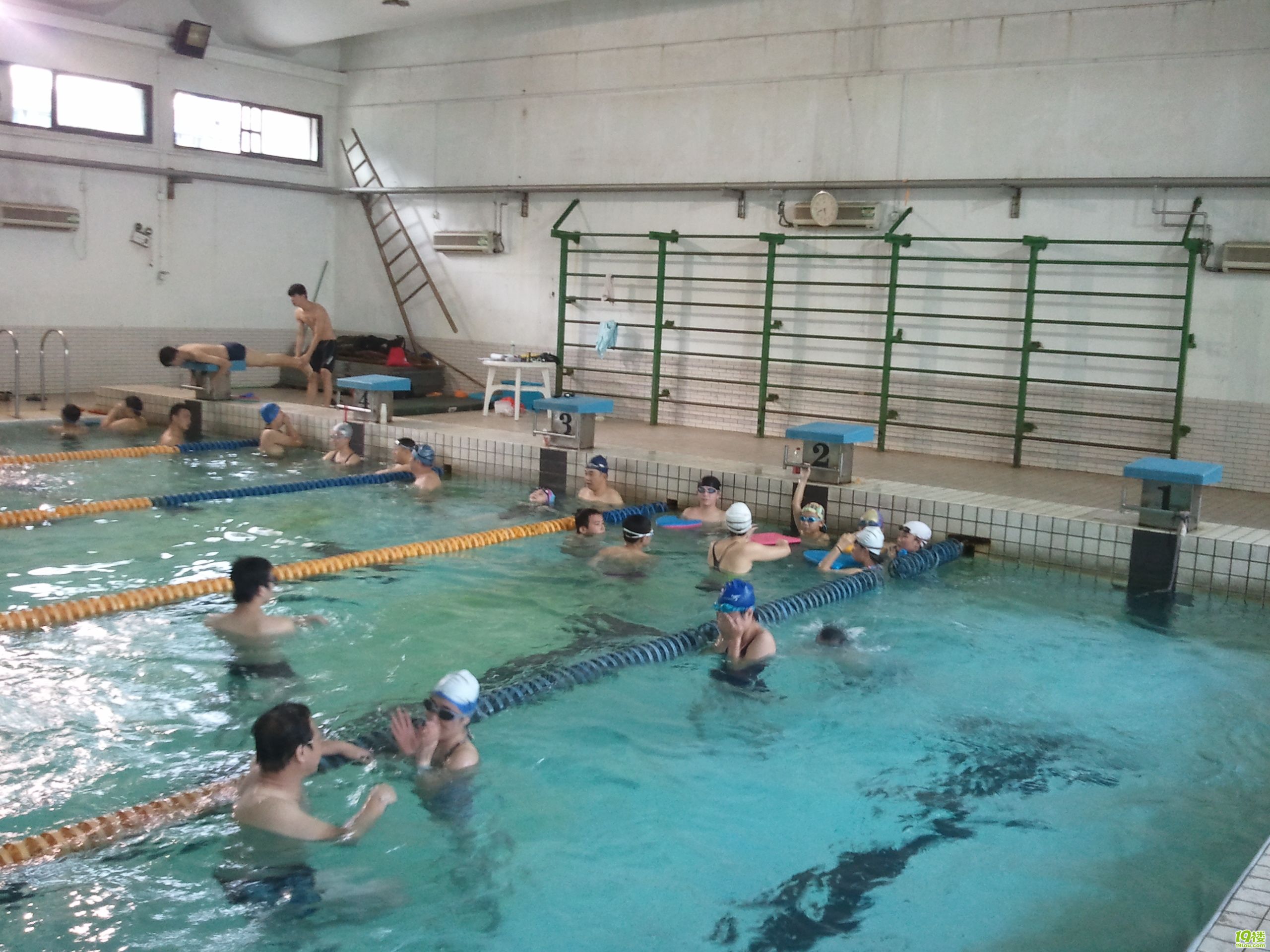 一个游泳教练的自白-第6页-结伴健身-杭州19楼