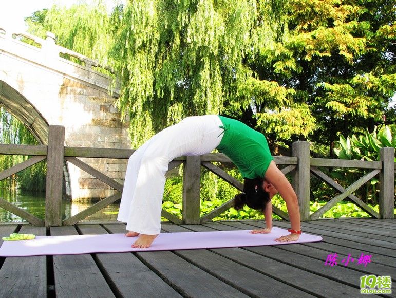 退休了,瑜伽成了每天的一项工作-活动归来-瑜伽