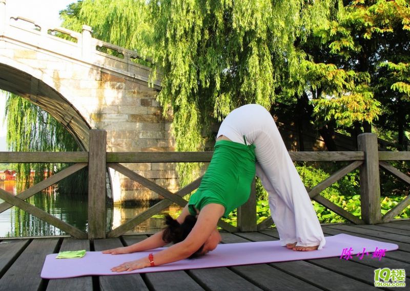 退休了,瑜伽成了每天的一项工作-活动归来-瑜伽