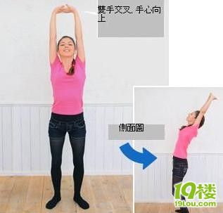 日本专家\伸懒腰热控减肥法\:天天70秒轻松红瘦腰的v专家方法图片