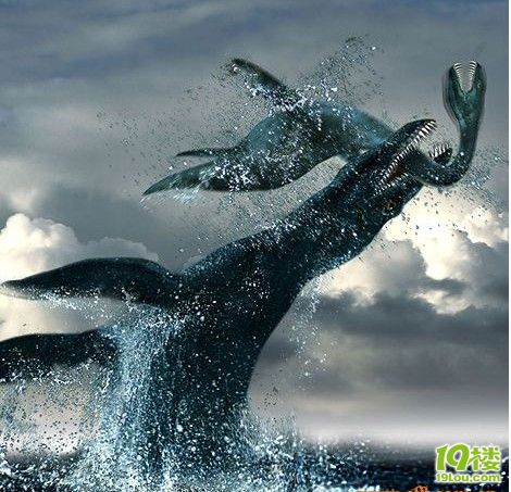 广东现巨大海怪尸体,上演真实版尼斯湖水怪。