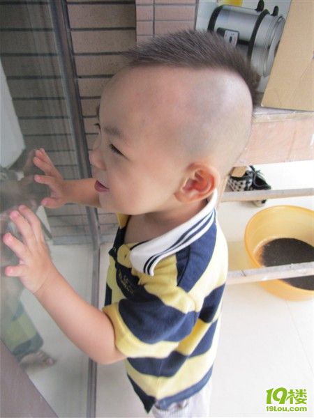 秀秀我家宝宝的莫西干头,后来被我改造过了