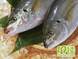 流言鑒定：太活躍的魚是否真的會致癌？