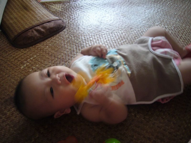 粑粑说,儿子是麻麻单性繁殖滴