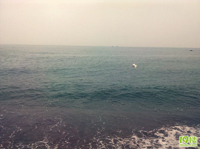 某鱼也许给你的不是你想要的,但是我给你的都