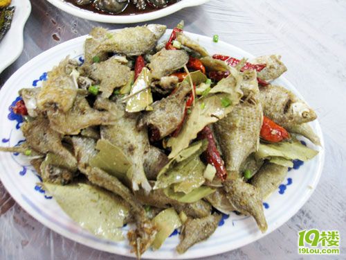 【1隊(duì)】KT的9月FB(二)西塘古鎮(zhèn)游[29貼-2011-9]