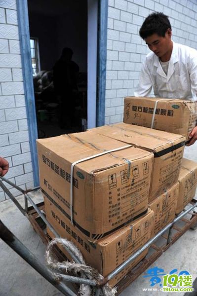 陳光標(biāo)個唱所捐豬羊大面積感冒 治療花費(fèi)近五萬