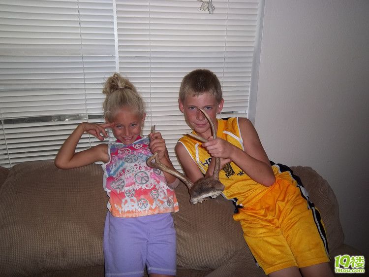 纽约$50万可买别墅 便宜房子需天价养护(该作