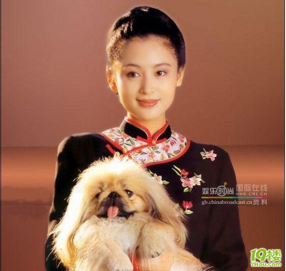 陈红姚晨现身被围观 保镖拉扯守护现场混乱[高