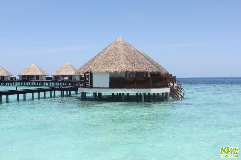 OUR DREAMS IN MALDIVES֮MEEDHUPPARUu