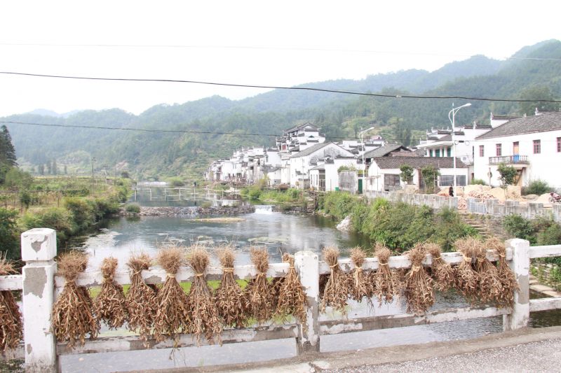 三清婺源秋游