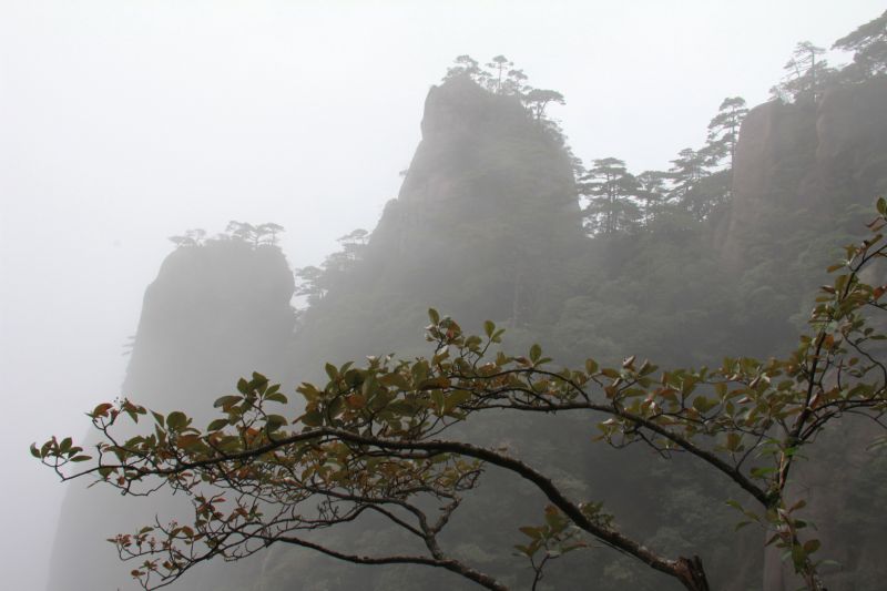 三清婺源秋游
