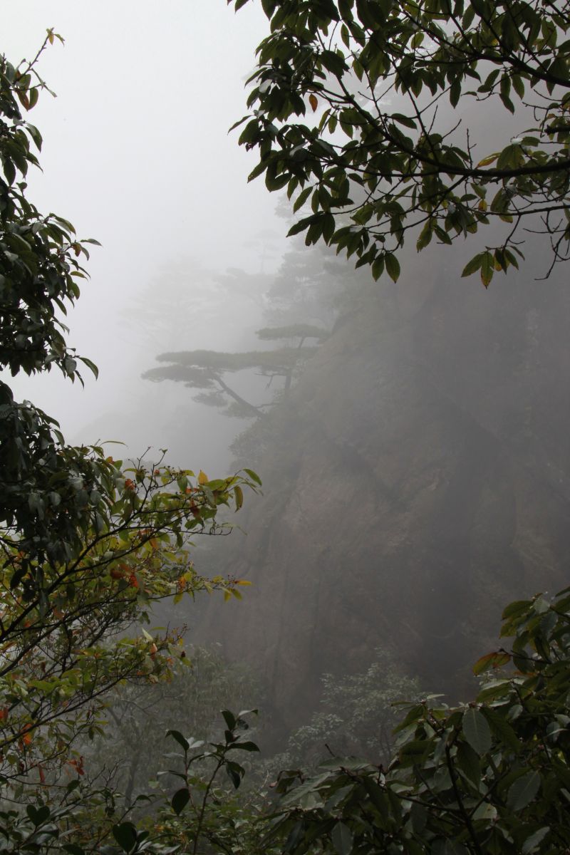 三清婺源秋游
