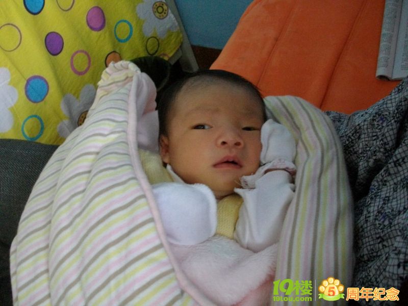 刚出生的女宝宝-准妈妈论坛-杭州19楼