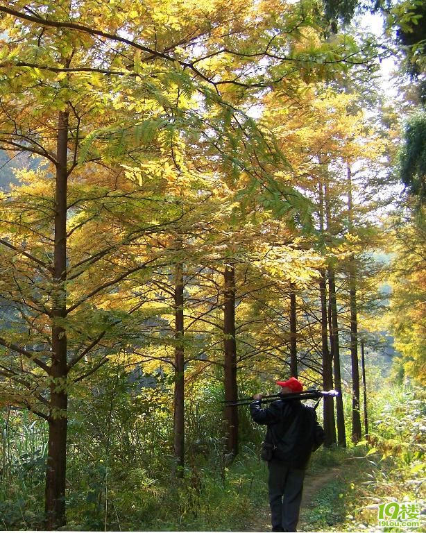 10月22、23周末两天千岛湖环湖自驾游寻同伴