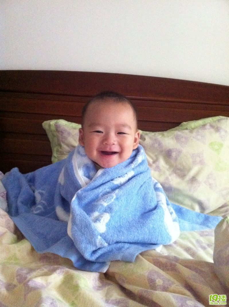 八个月男宝宝的饮食安排-孩爸孩妈聊天室-杭州