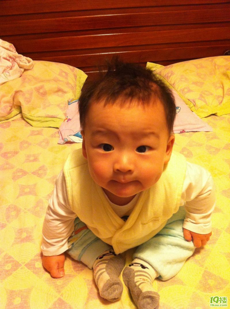 八个月男宝宝的饮食安排-孩爸孩妈聊天室-杭州