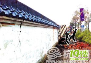 昨天微博疯转寻找这位勇敢的杭铁头-转贴之王