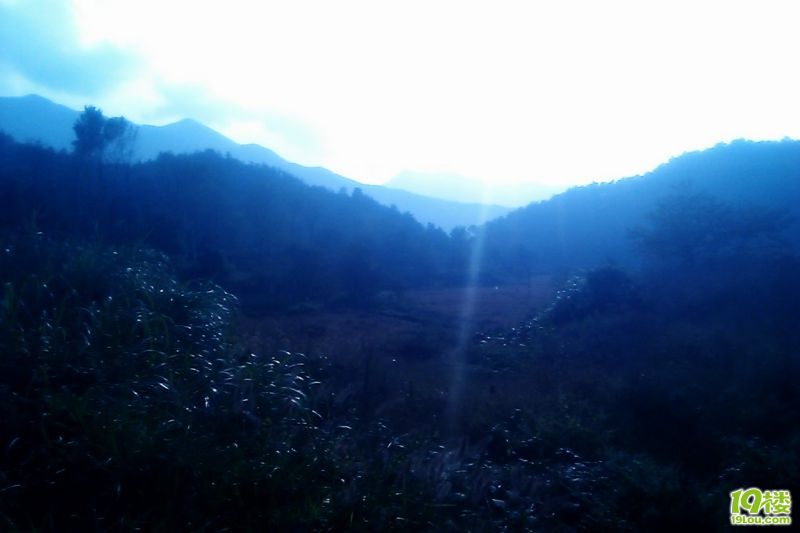 【再】探阁皂山,有图