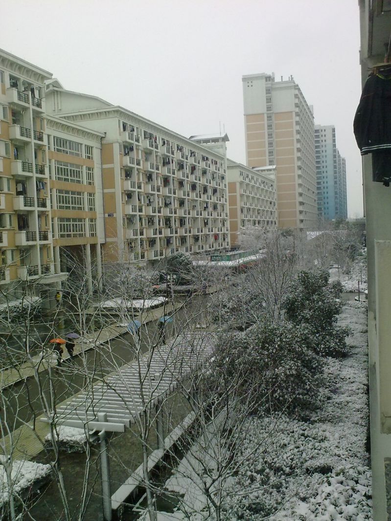 杭州电子科技大学的雪景-风景照-19摄区-杭州