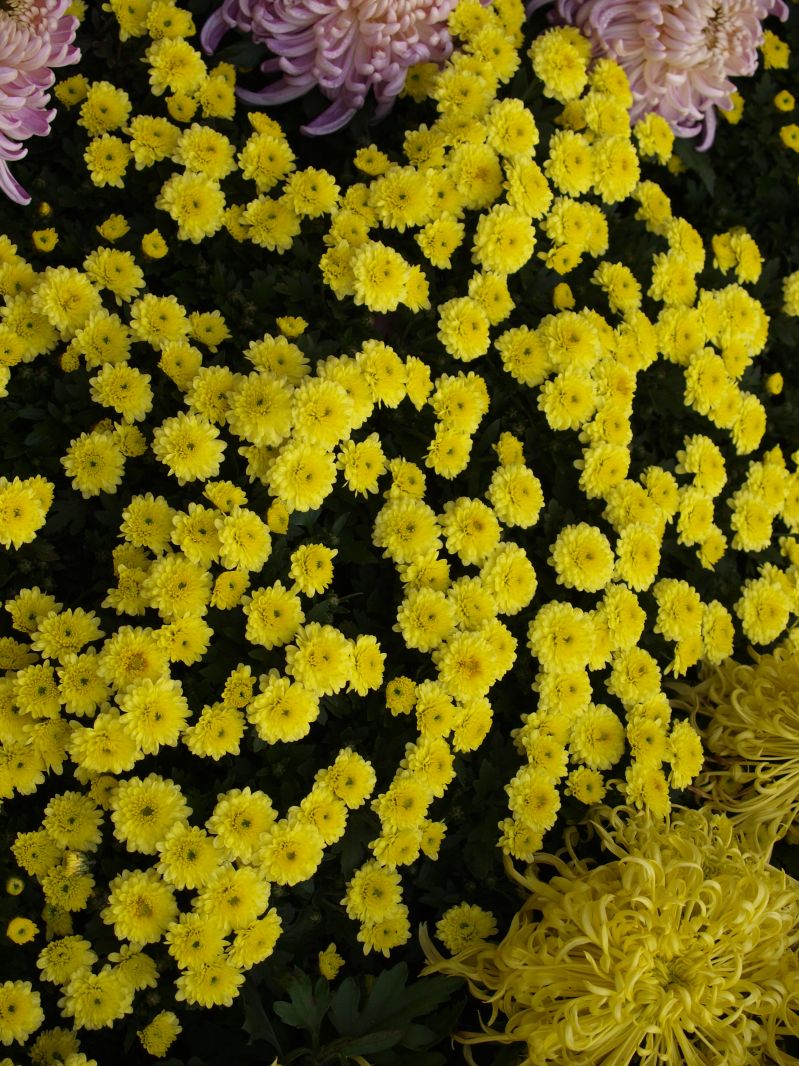植物園半日游