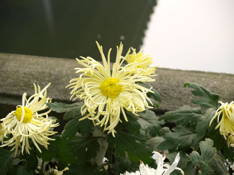 植物園半日游
