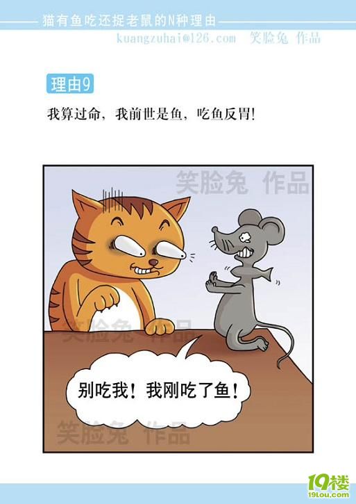 搞笑漫画猫捉老鼠的n种原因长期更新不太监