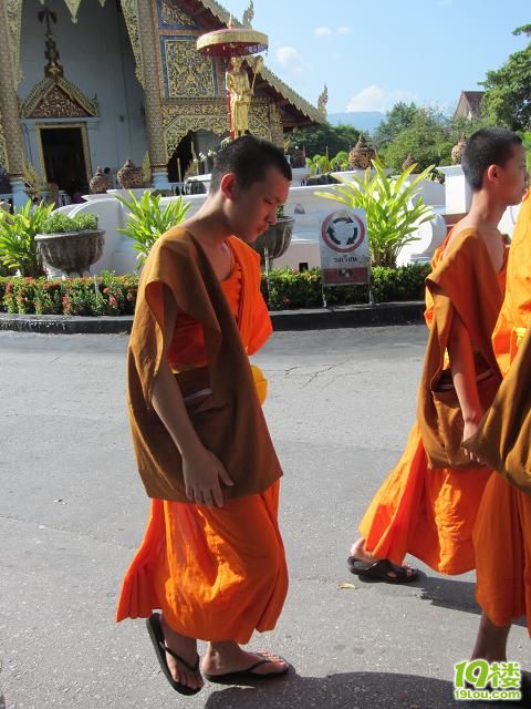 泰瑰丽·洪水泛滥时期冒险探访曼谷·清迈·p