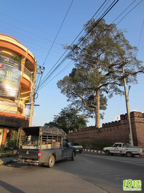 泰瑰丽·洪水泛滥时期冒险探访曼谷·清迈·p