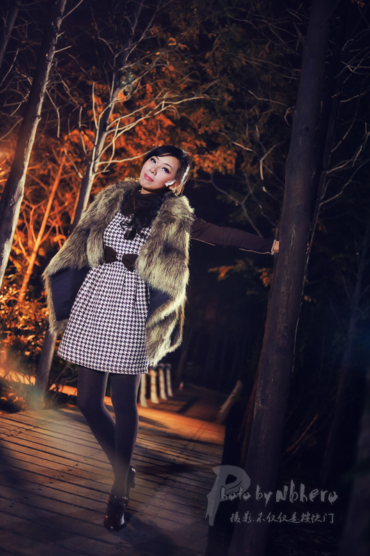 〖我的月光森林〗