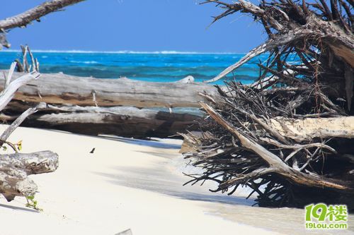 ʷȫ๥ Saipan