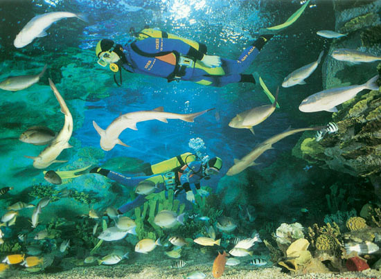 极地海洋公园_杭州极地海洋世界占地30亩,位于