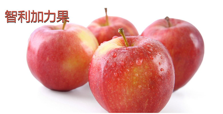 智利进口加力果10个装_杭州19楼