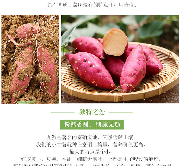 龙游小番薯板栗小红薯5斤