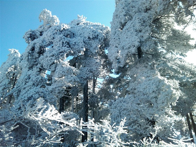 黄山人口_今年黄山市新出生人口或延续下降趋势(3)