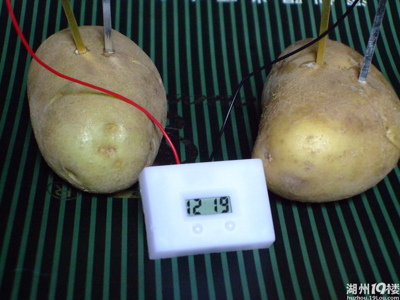 土豆发电机带动迷你小时钟，你见过吗?-亲子乐园-湖州19楼