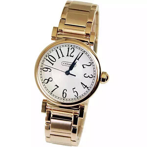 刘雯同款coach手表