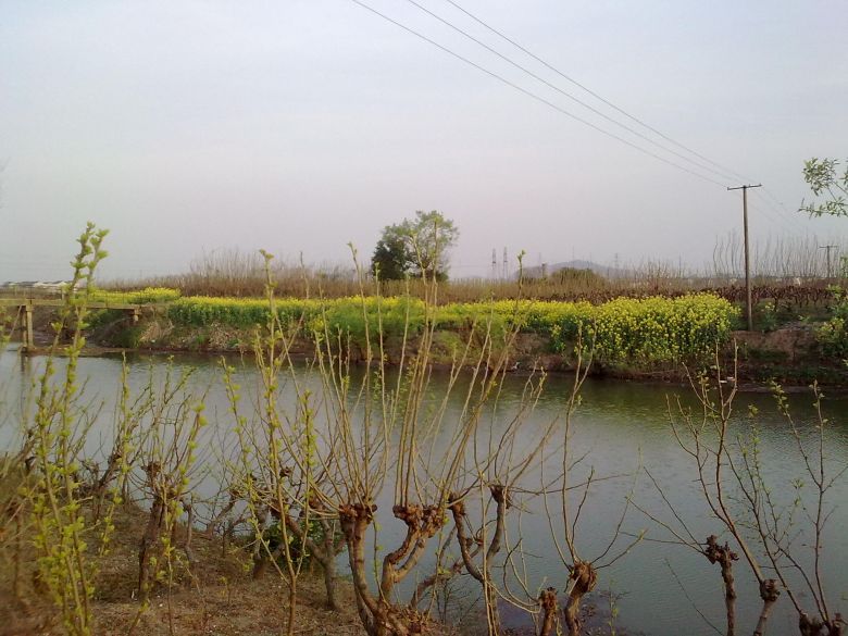 田野的春天-摄影部落-湖州19楼
