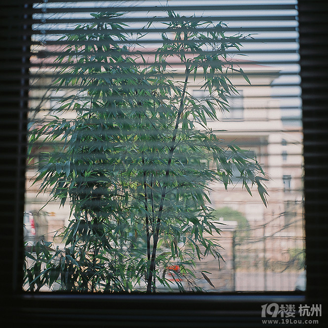 復古 · 懷舊