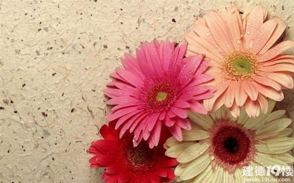 亲爱的你 现在过得还好吗-恋爱情感-建德19楼