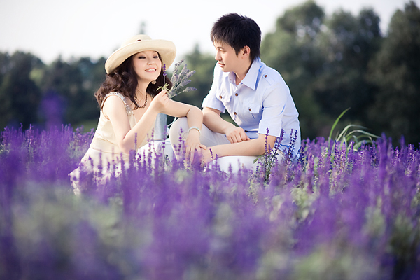 晒幸福,我的婚纱照--熏衣草花海浪漫与快乐的猫