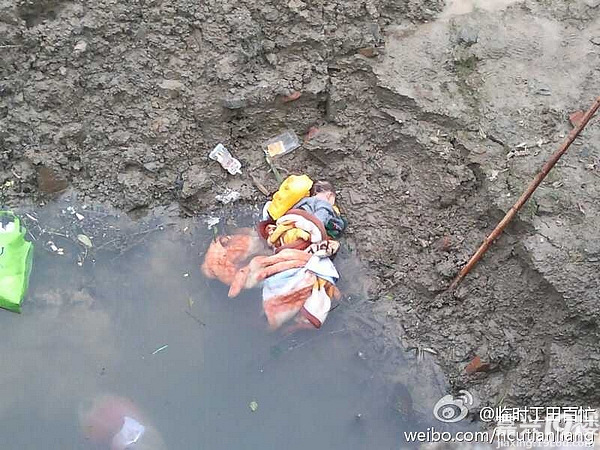 海盐梅园桥下发现一溺毙<em>弃婴</em>(有<em>照片</em>,慎入)-讲
