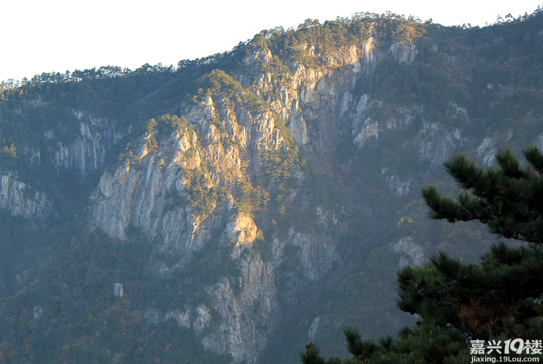 临安天目山穿越秋天攻略-旅游拉风-嘉兴19楼
