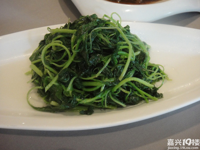 【博雅酒店试吃】膳食宝典在此-美食分享-吃喝