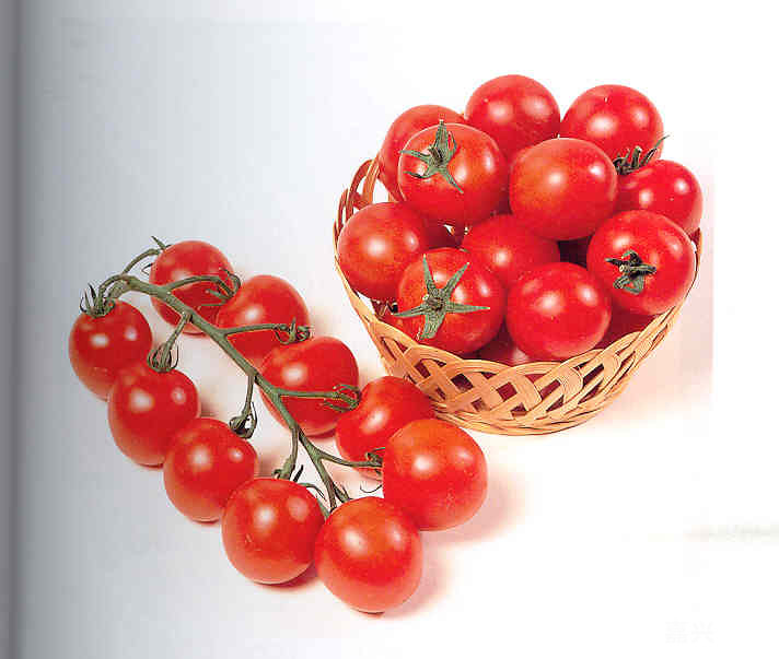 12月(冬季) 有哪些正常季节的水果你知道吗?-早